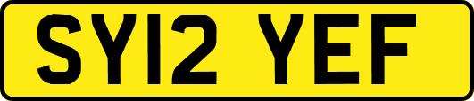 SY12YEF