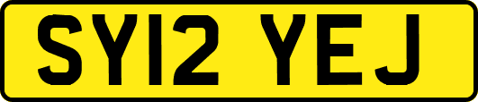 SY12YEJ
