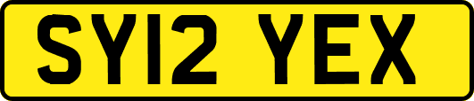 SY12YEX
