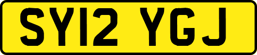 SY12YGJ