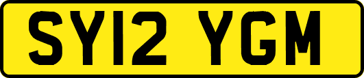 SY12YGM