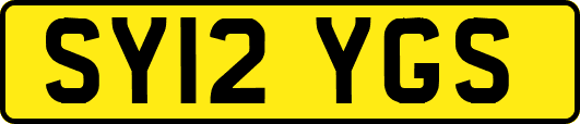 SY12YGS