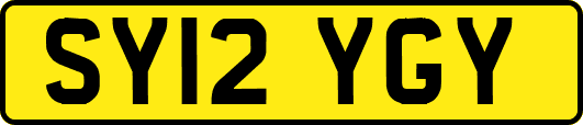 SY12YGY