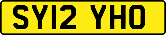 SY12YHO