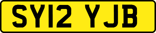 SY12YJB