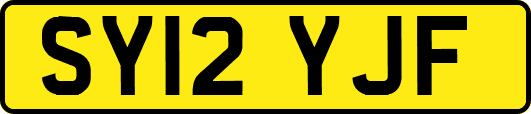 SY12YJF