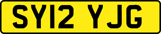 SY12YJG