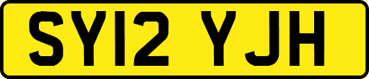 SY12YJH