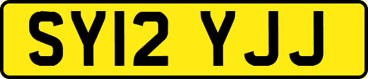 SY12YJJ