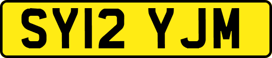 SY12YJM
