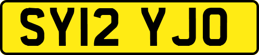 SY12YJO