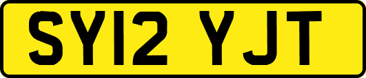 SY12YJT
