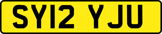 SY12YJU