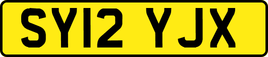 SY12YJX