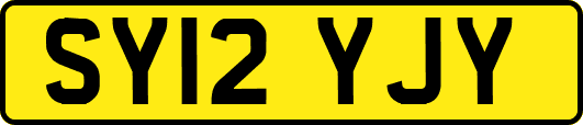 SY12YJY