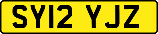 SY12YJZ