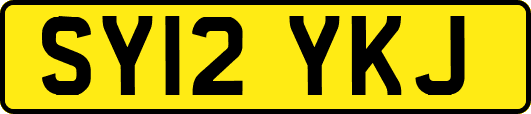 SY12YKJ