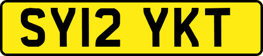 SY12YKT