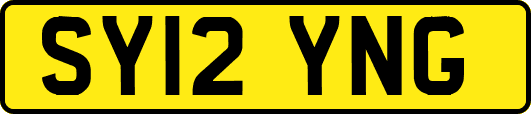 SY12YNG