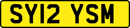 SY12YSM