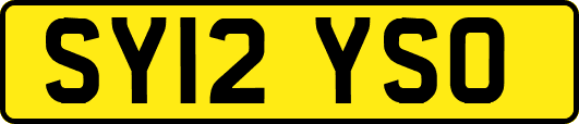 SY12YSO