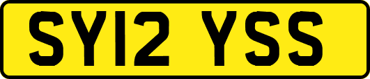 SY12YSS