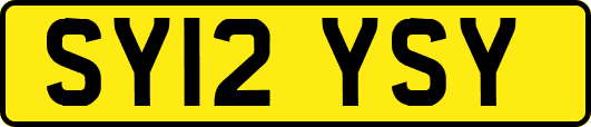 SY12YSY