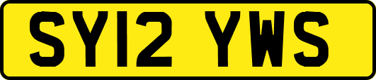 SY12YWS