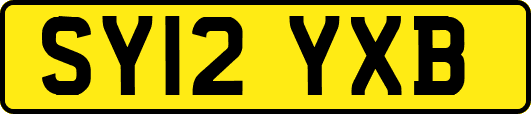 SY12YXB