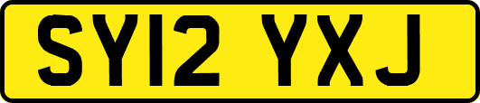 SY12YXJ