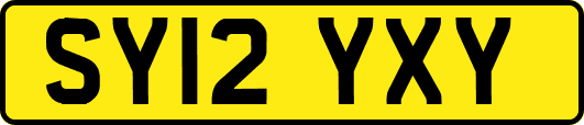 SY12YXY