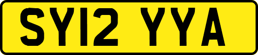 SY12YYA