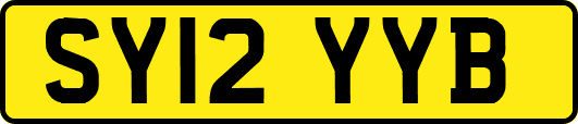 SY12YYB