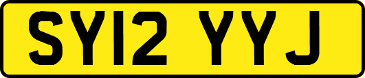 SY12YYJ