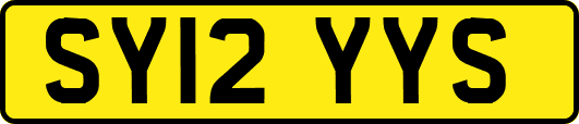SY12YYS