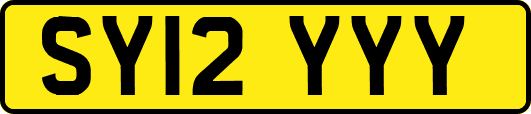 SY12YYY