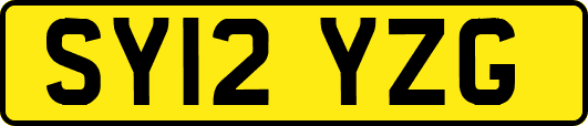 SY12YZG