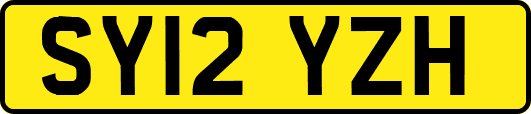 SY12YZH