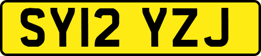 SY12YZJ