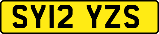 SY12YZS
