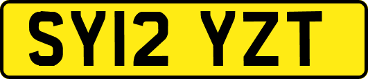 SY12YZT