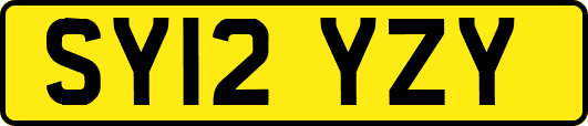 SY12YZY