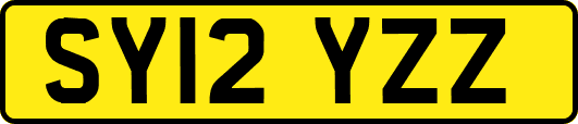 SY12YZZ