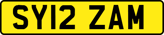 SY12ZAM