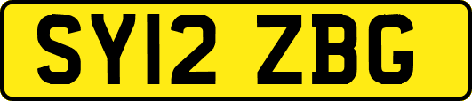 SY12ZBG