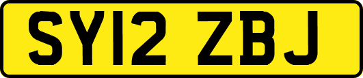 SY12ZBJ