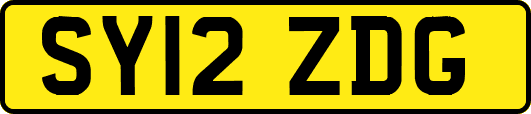 SY12ZDG