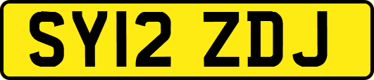 SY12ZDJ
