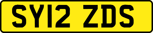 SY12ZDS