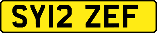 SY12ZEF